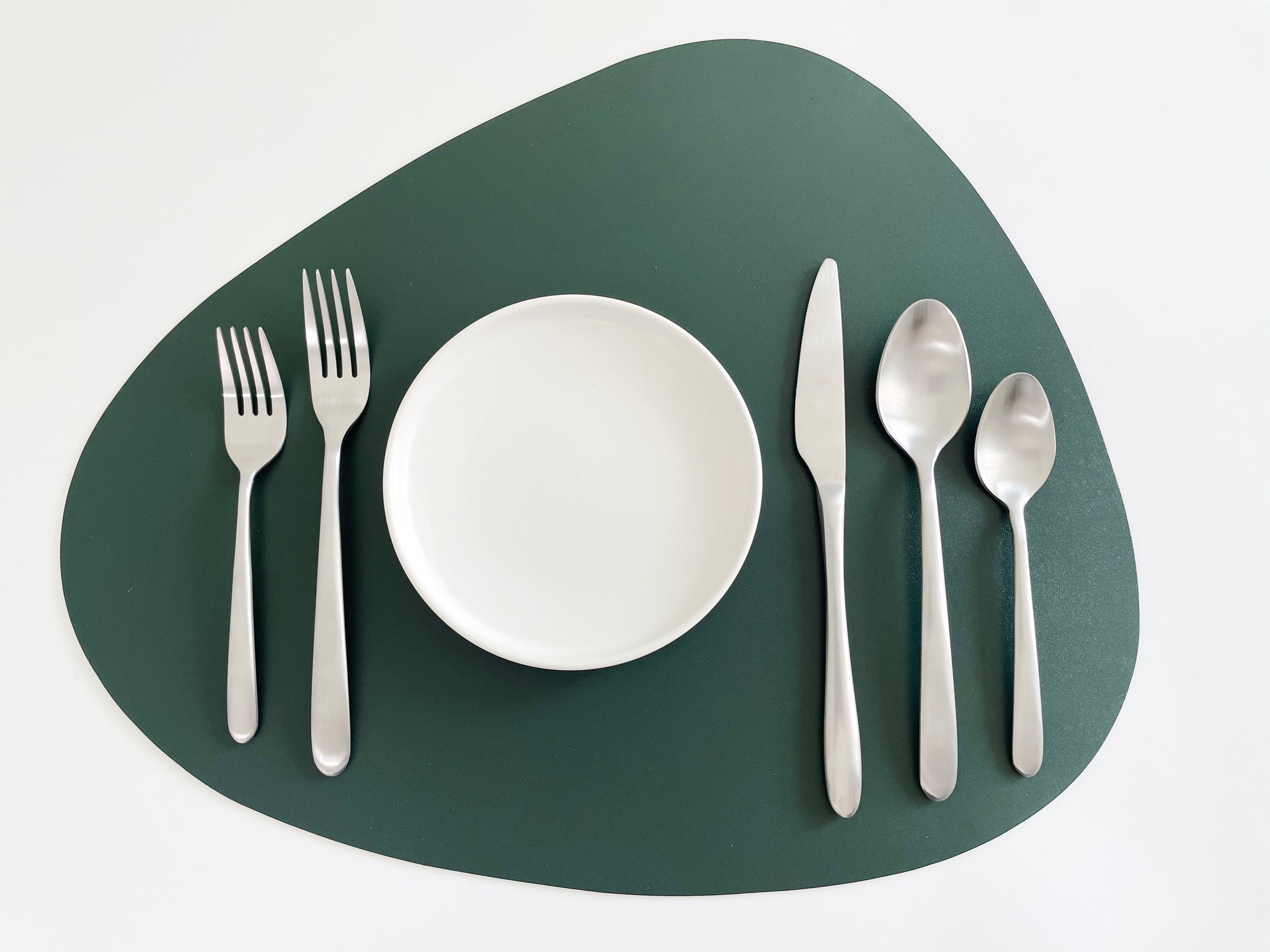 5 piece matte finish flatware set
